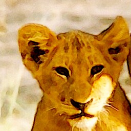 Colored Pencil FAA 10